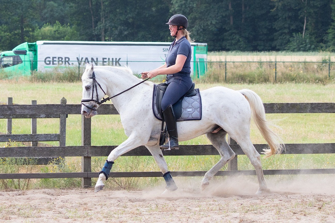 Lieve, stoere, 15 jarige E pony ruin, Dieren en Toebehoren, Ruin