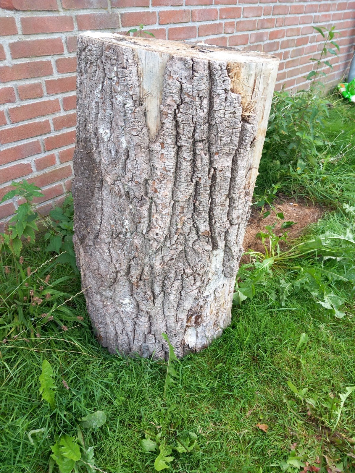Open haard hout, Tuin en Terras, Haardhout, Minder dan 3 m³, Ophalen