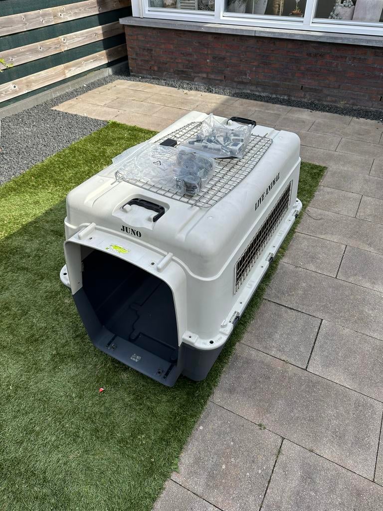 Stevige hondenbench / transportbox – gebruikt, Dieren en Toebehoren, Transportboxen, Ophalen, Gebruikt
