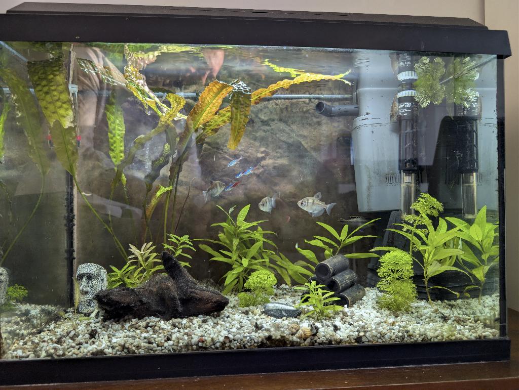 compleet aquarium 70 liter, Ophalen, Gebruikt, Gevuld zoetwateraquarium, Juwel