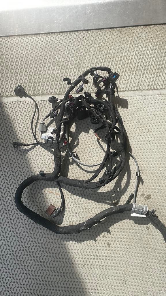 05E972610B kabelboom Volkswagen, Ophalen