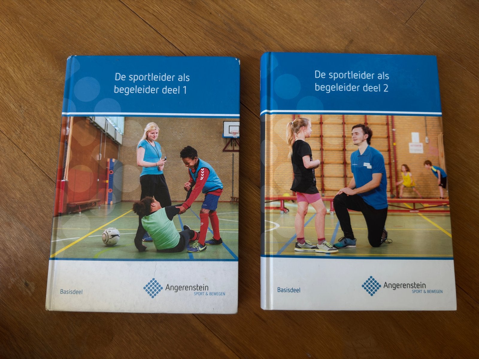 Sport & Bewegen schoolboeken, Boeken, Ophalen of Verzenden, Zo goed als nieuw, Overige niveaus
