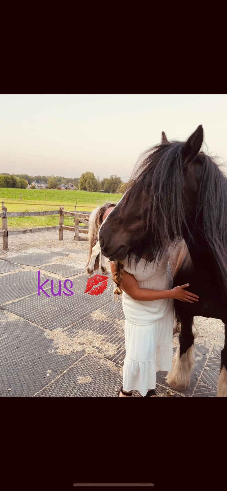 Pony, verzorgen, veerkracht en jezelf zijn, Winterswijk, Ophalen, Nieuw