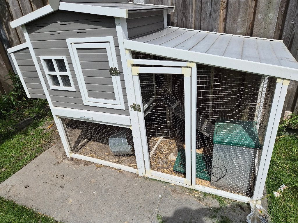 Kippen met hok, Dieren en Toebehoren, Pluimvee, Vrouwelijk, Kip