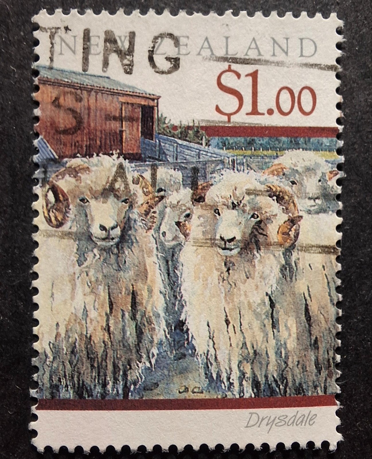 Nieuw Zeeland schapen, Postzegels en Munten, Ophalen of Verzenden, Dier of Natuur