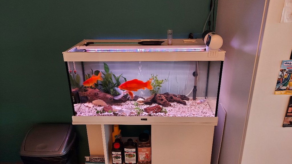 Aqualantis 100L met licht, filter, onderkast, verwarming, Dieren en Toebehoren, Vissen | Aquaria en Toebehoren, Ophalen, Aquatlantis