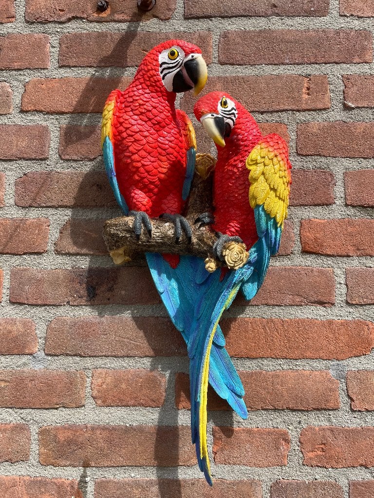 ara's, Mannelijk
