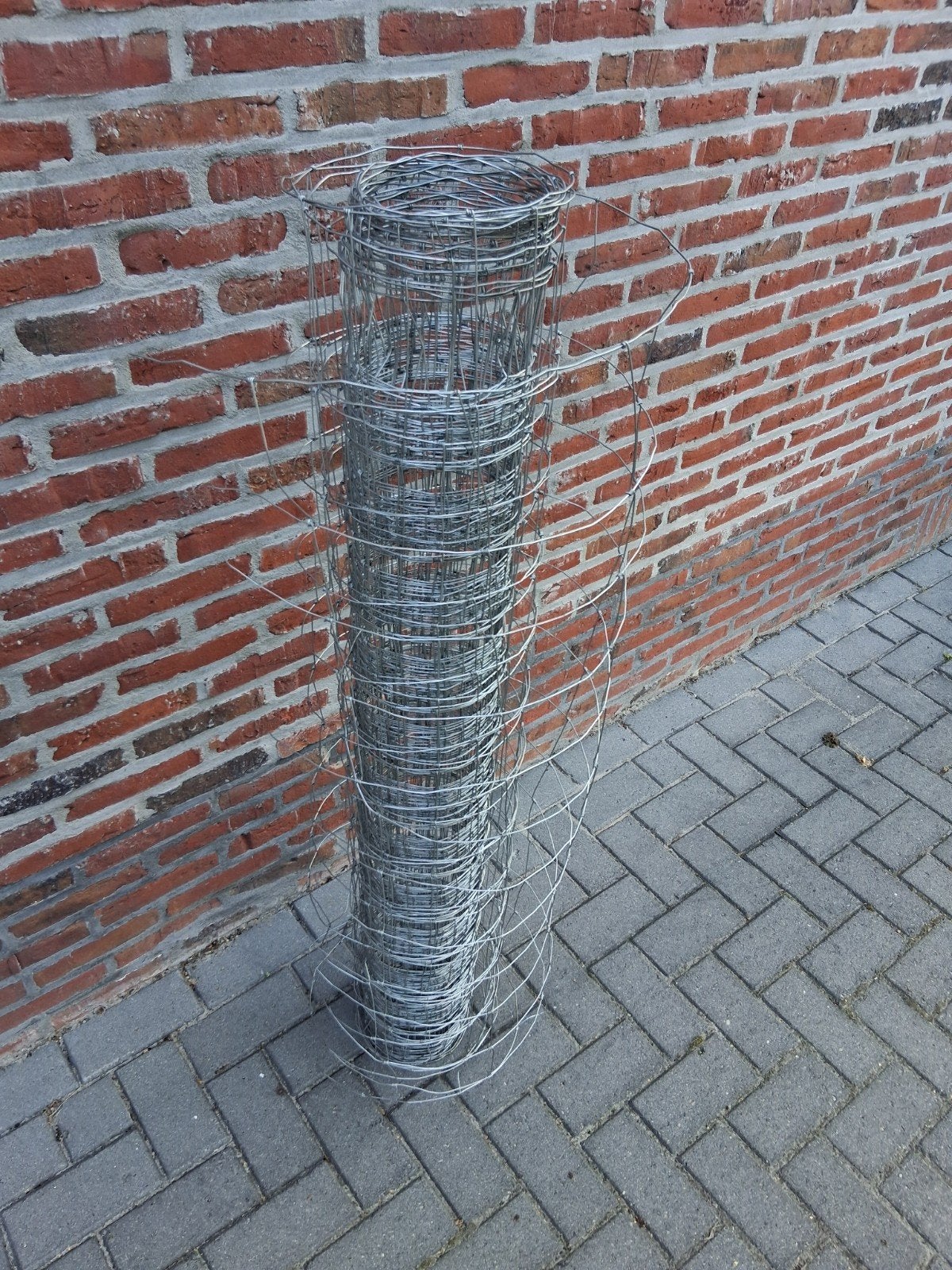 Nieuw rol gaas, ideaal voor afrastering, Ophalen, Nieuw, 20 meter of meer, Gaas