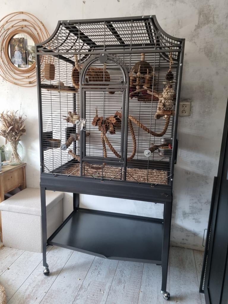 Vogelkooi montana madeira || antiek, Dieren en Toebehoren, Vogels | Hokken en Kooien, Zo goed als nieuw, Vogelkooi, Metaal, Ophalen