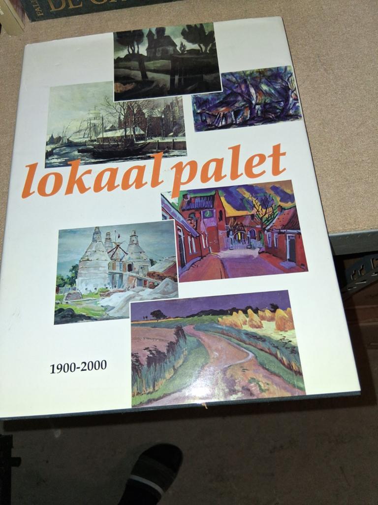 Lokaal Palet 1900-2000: Kunstboek met lokale kunst