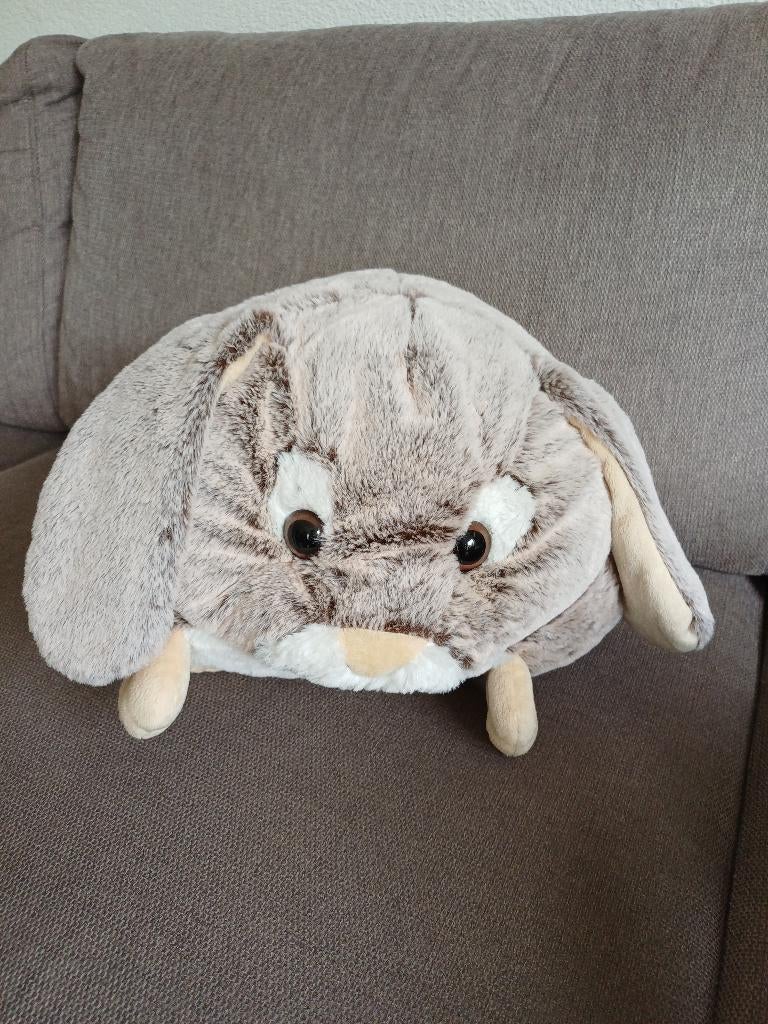 Knuffel, Ophalen, Nieuw, Overige typen, Middelgroot (20 tot 80 cm)
