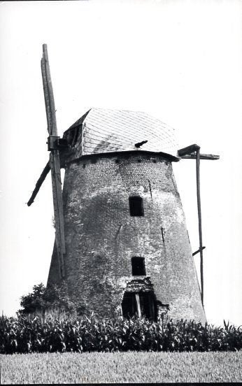 (BG131) Ansichtkaart België molen Elene Ter Leeuwergem 1990, Verzamelen, Ansichtkaarten | België, Verzenden, 1980 tot heden, Ongelopen