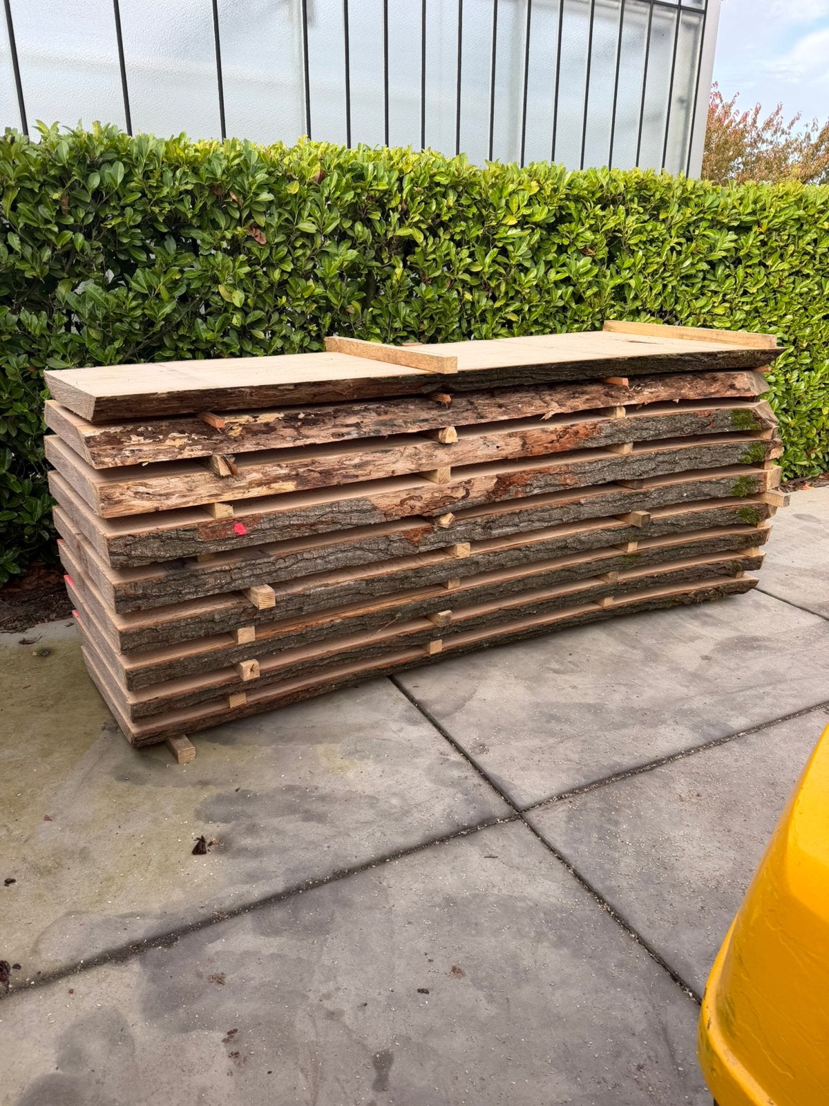 9 grote boomstambladen 300x80-90x8cm