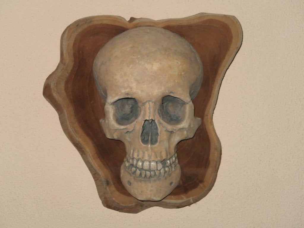 menselijke Schedel REPLICA Wanddeco Skull mens op Boomschijf, Huis en Inrichting, Ophalen of Verzenden, Nieuw, Handgemaakt