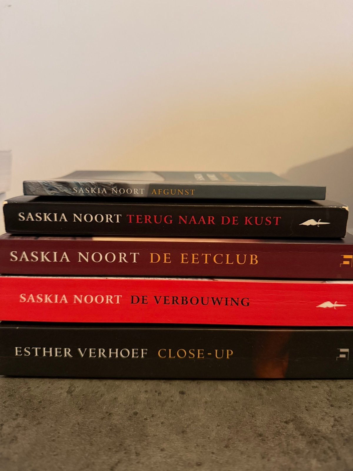 Saskia Noort; verschillende titels, Ophalen of Verzenden, Zo goed als nieuw