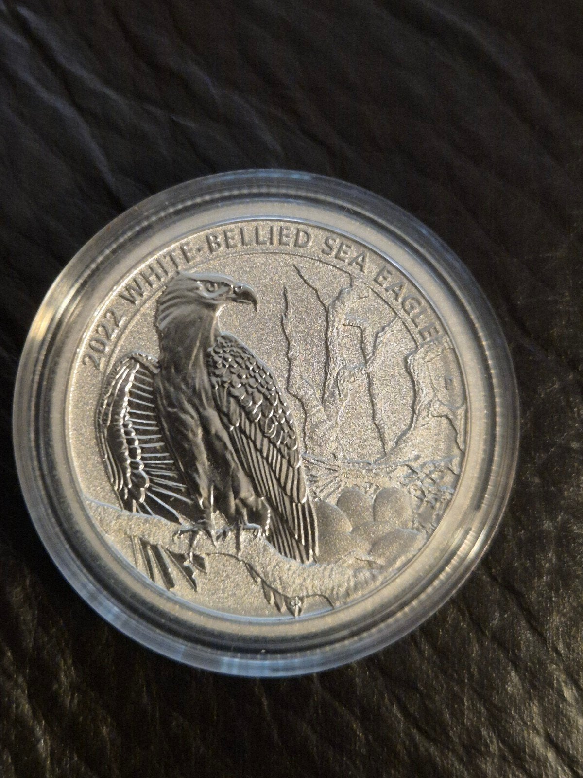 2022 White-Bellied Sea Eagle 1/2 oz Platina Munt, Ophalen of Verzenden, Overige landen, Losse munt