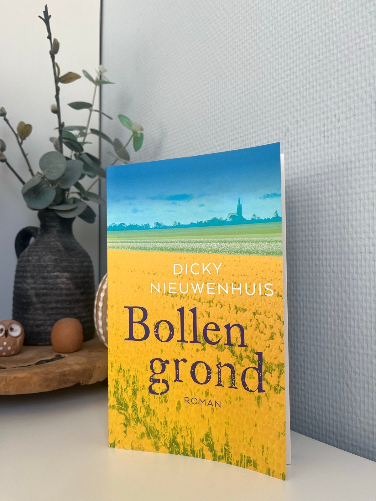 Bollengrond - Dicky Nieuwenhuis (als nieuw), Ophalen of Verzenden, Zo goed als nieuw, Nederland