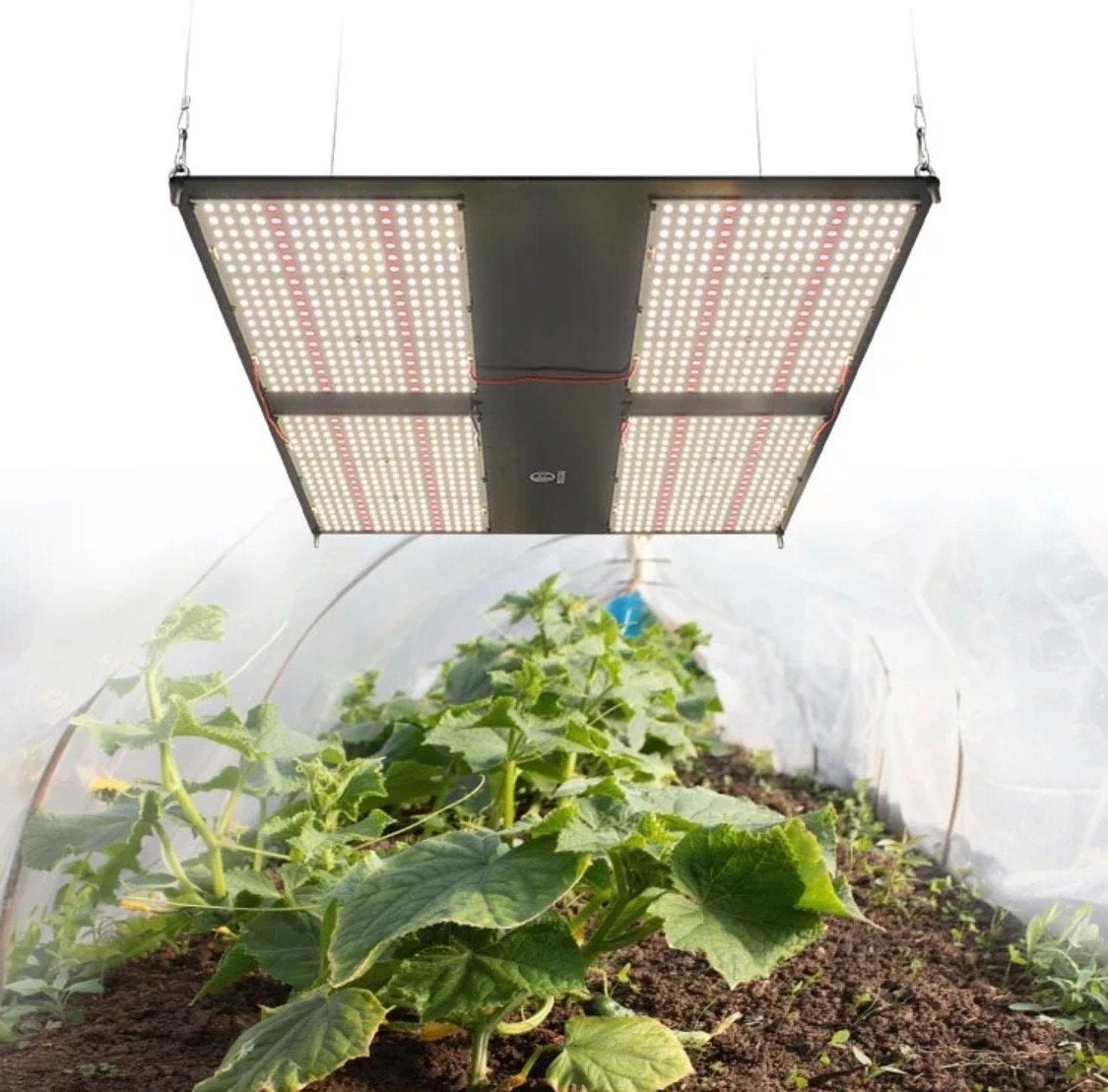 LED Kweeklamp 480W met Extra Rood Licht, Ophalen of Verzenden, Nieuw, Kweeklamp