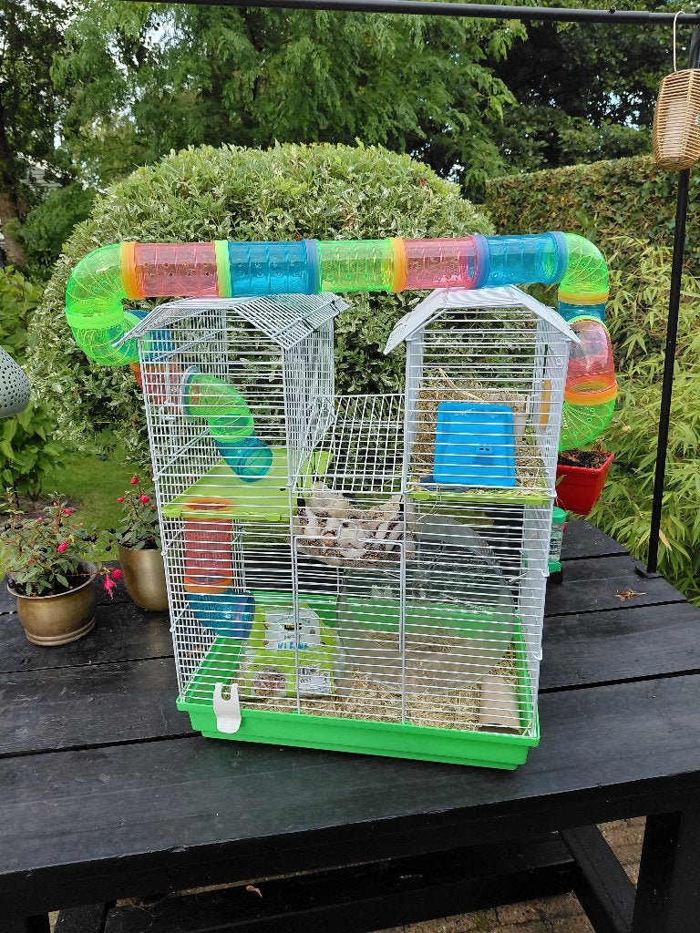 Hamster huisje, Ophalen of Verzenden, Zo goed als nieuw, Overige typen