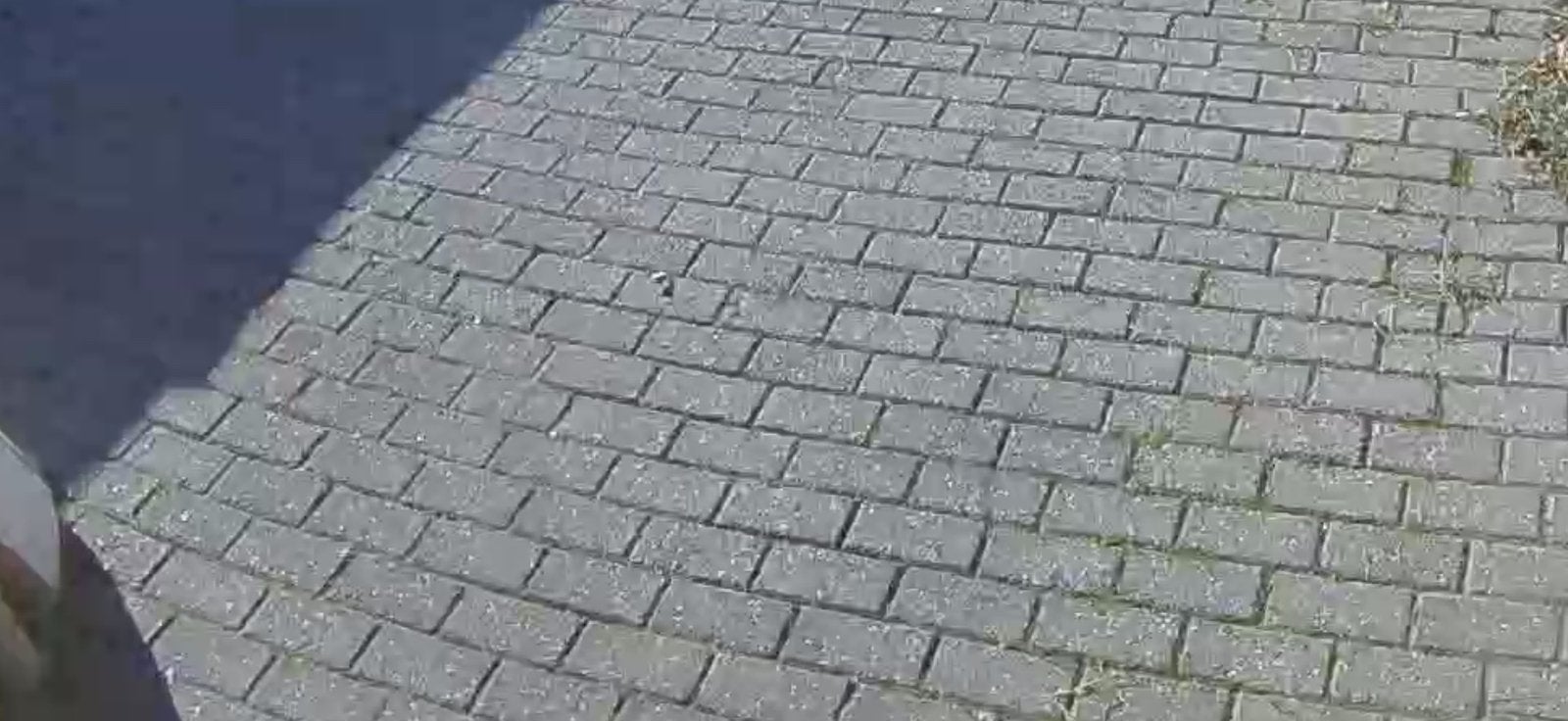 klinkers gratis op te halen, Tuin en Terras, Tegels en Klinkers, Ophalen, Zo goed als nieuw, Beton, Klinkers