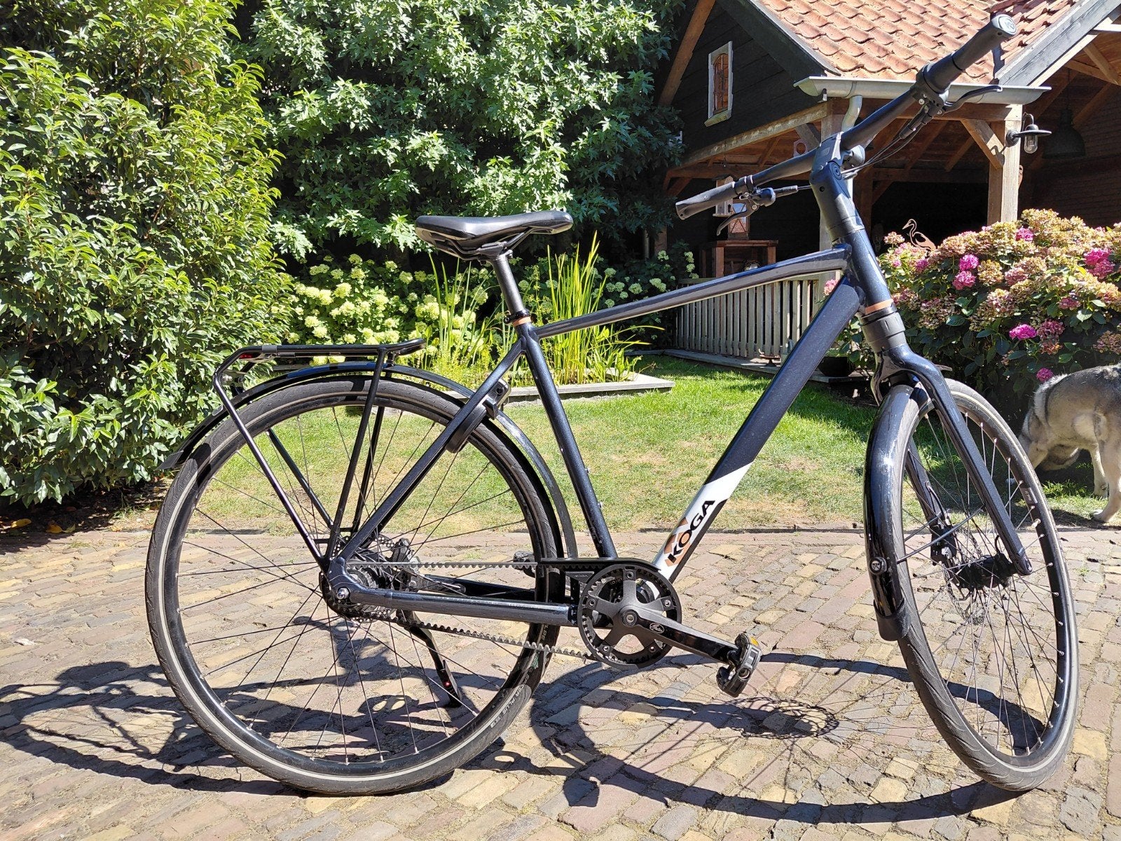 Herenfiets KOGA F3 4.O N8 Belt -Frame 54CM/M / 7 maanden oud, Versnellingen, Zo goed als nieuw, 53 tot 57 cm, Ophalen