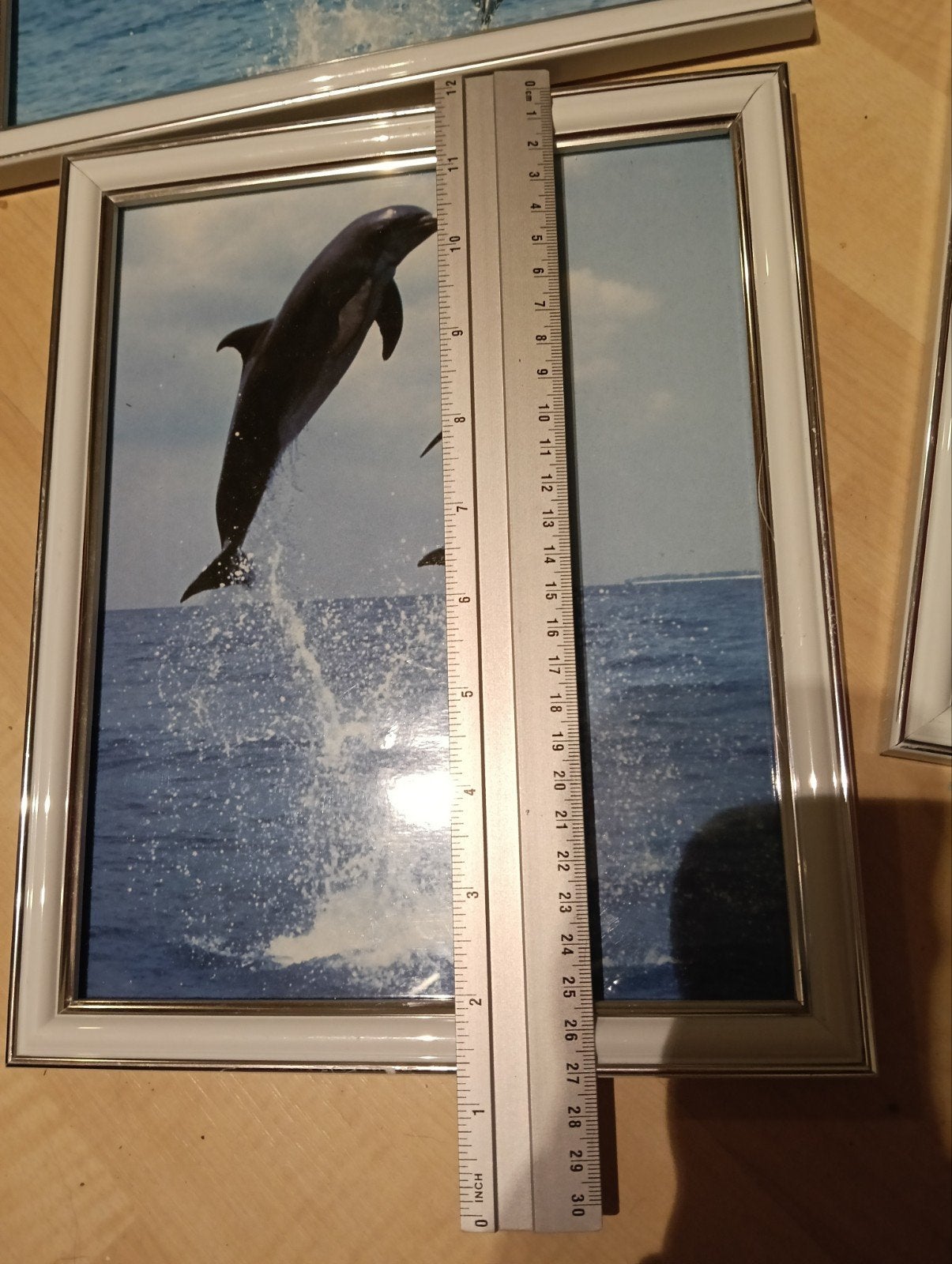 Ingelijste dolfijnen foto's (set van 4), Ophalen, Gebruikt, Overige materialen