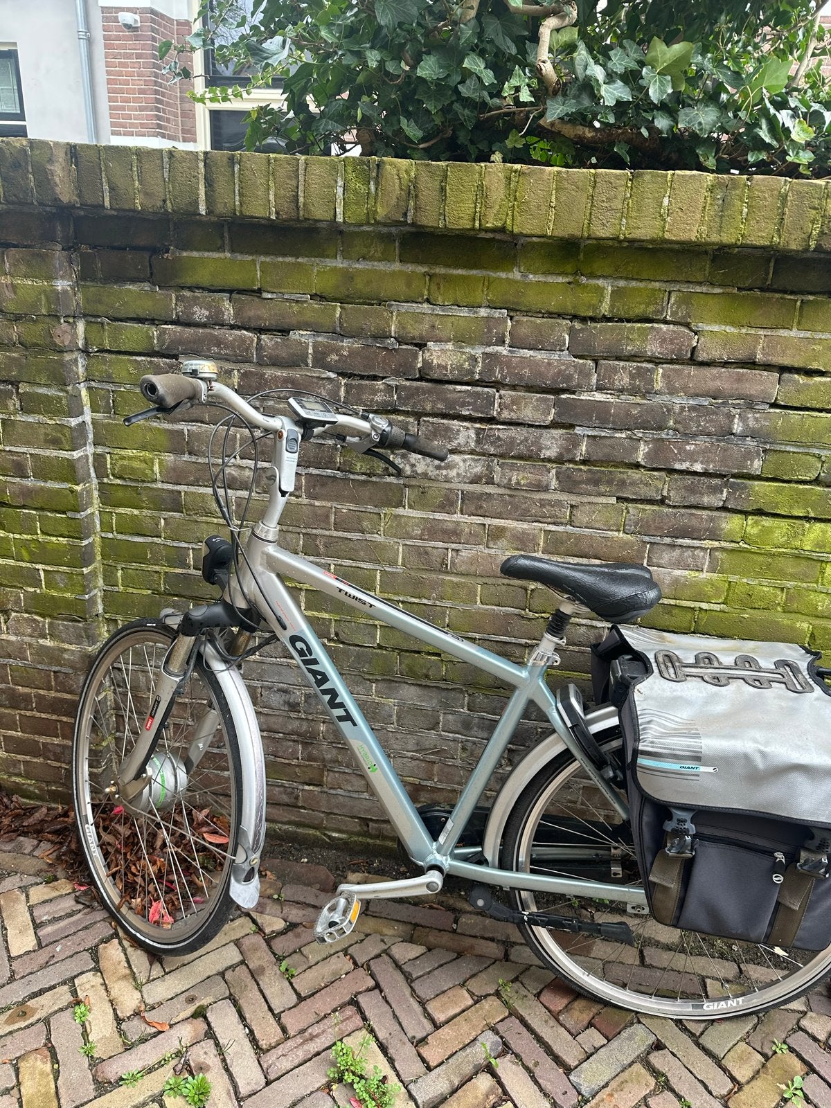 Giant Twist Power elektrische fiets met fietstassen, Fietsen en Brommers, Elektrische fietsen, Gebruikt, Giant, 51 tot 55 cm, 30 tot 50 km per accu