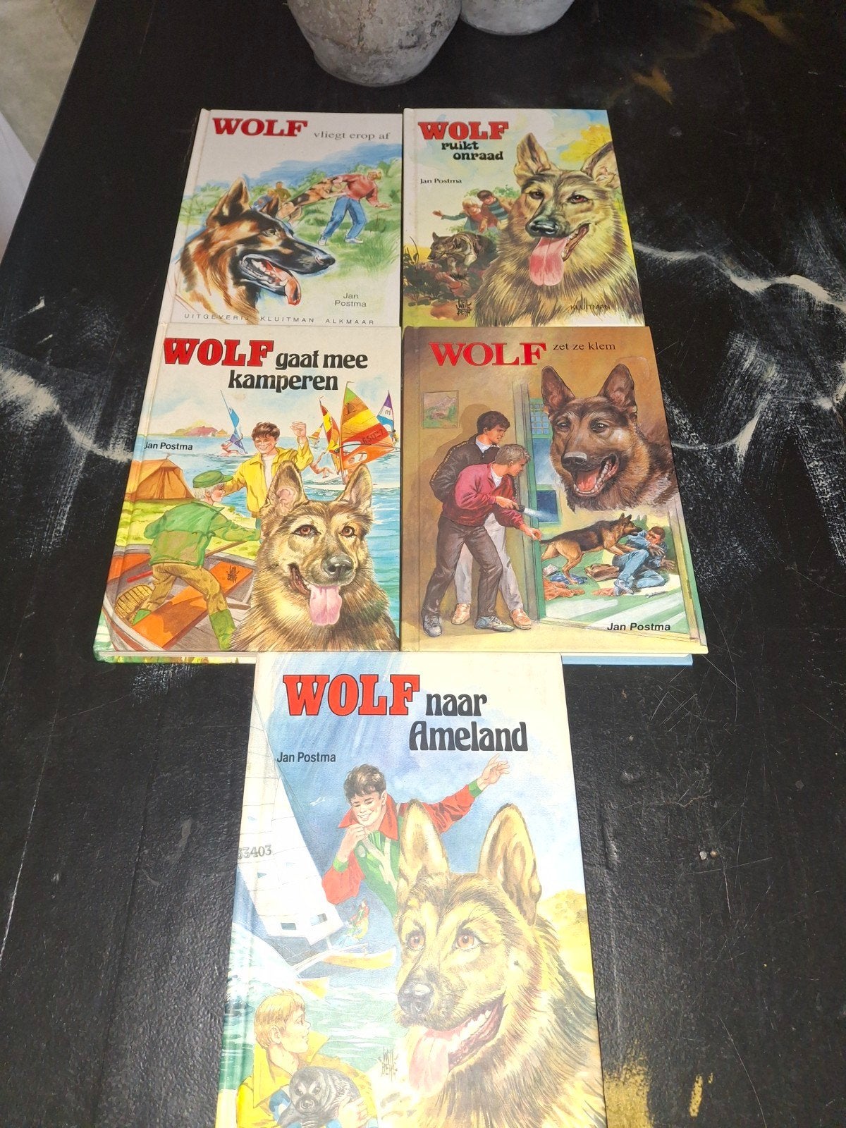 Wolf boekenreeks van Jan Postma - 5 delen, Boeken, Ophalen of Verzenden, Gelezen, Jan Postma, Fictie algemeen