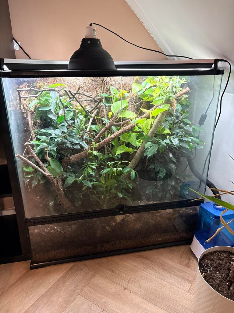 Exo terra 90x45x90, Ophalen, Zo goed als nieuw