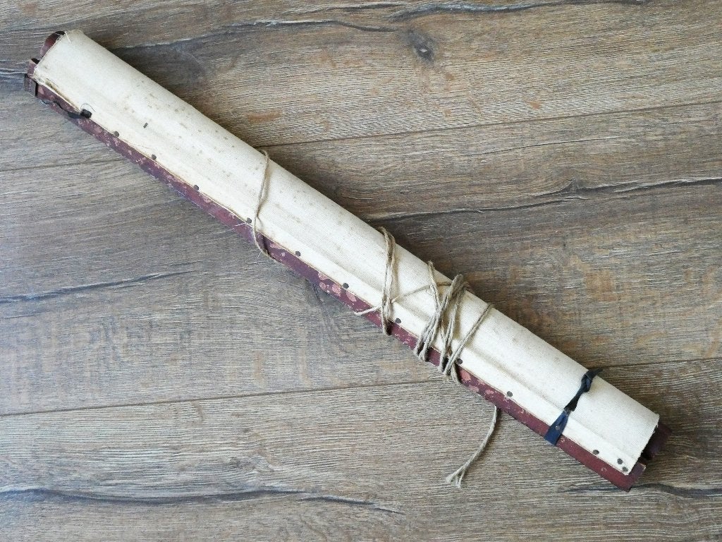 Anatomische schoolplaat De Spijsvertering  R.Cremers 1930, Ophalen of Verzenden, Natuur en Biologie