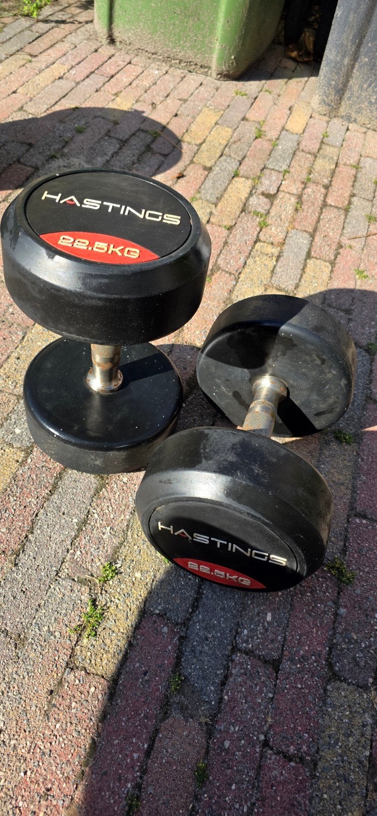 Hastings Dumbbells 22.5KG - Set van 2, Ophalen, Gebruikt, Rug, Dumbbell