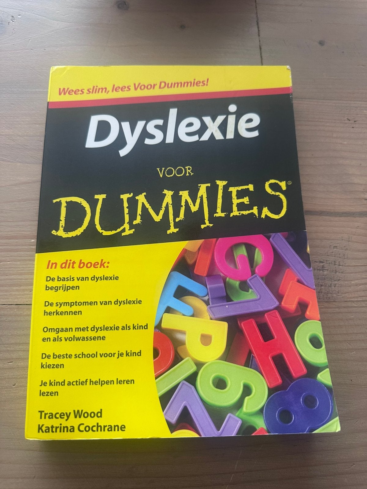 Dyslexie voor dummies, Ophalen of Verzenden, Zo goed als nieuw, Overige typen