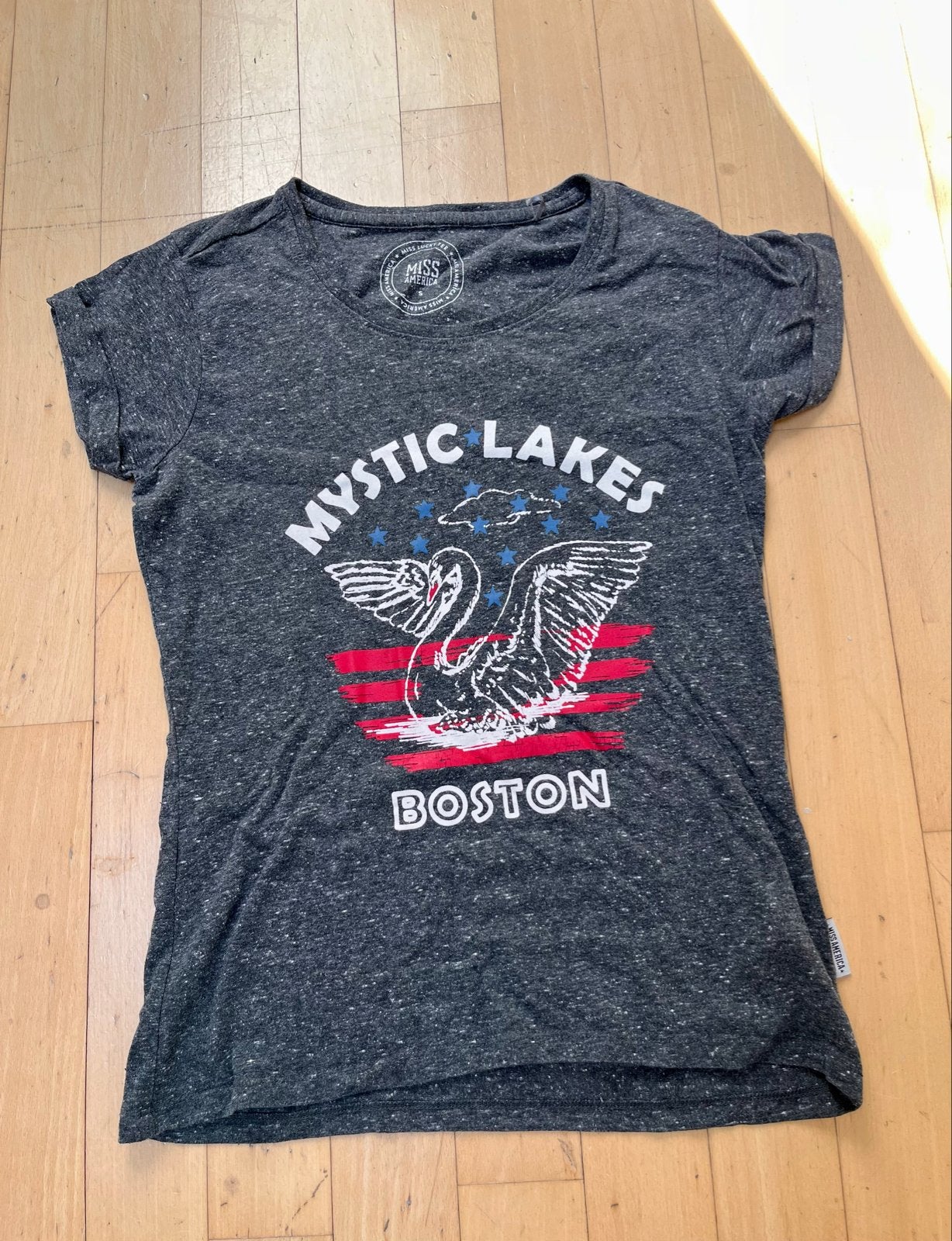 Miss America T-shirt Mystic Lakes Boston Maat S, Kleding | Dames, T-shirts, Verzenden, Korte mouw, Maat 36 (S), Grijs