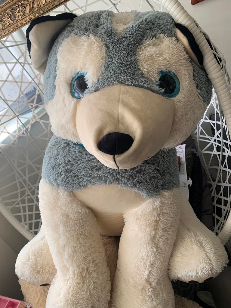 Er leuke grote knuffel van een Husky Nieuw, Ophalen of Verzenden, Zo goed als nieuw, Overige typen