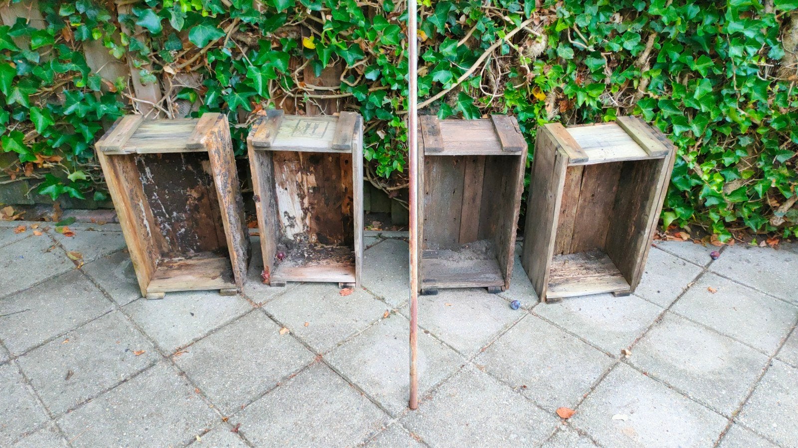 4 moestuin kistjes, Tuin en Terras, Ophalen, Rechthoekig, Kunststof, Minder dan 30 cm