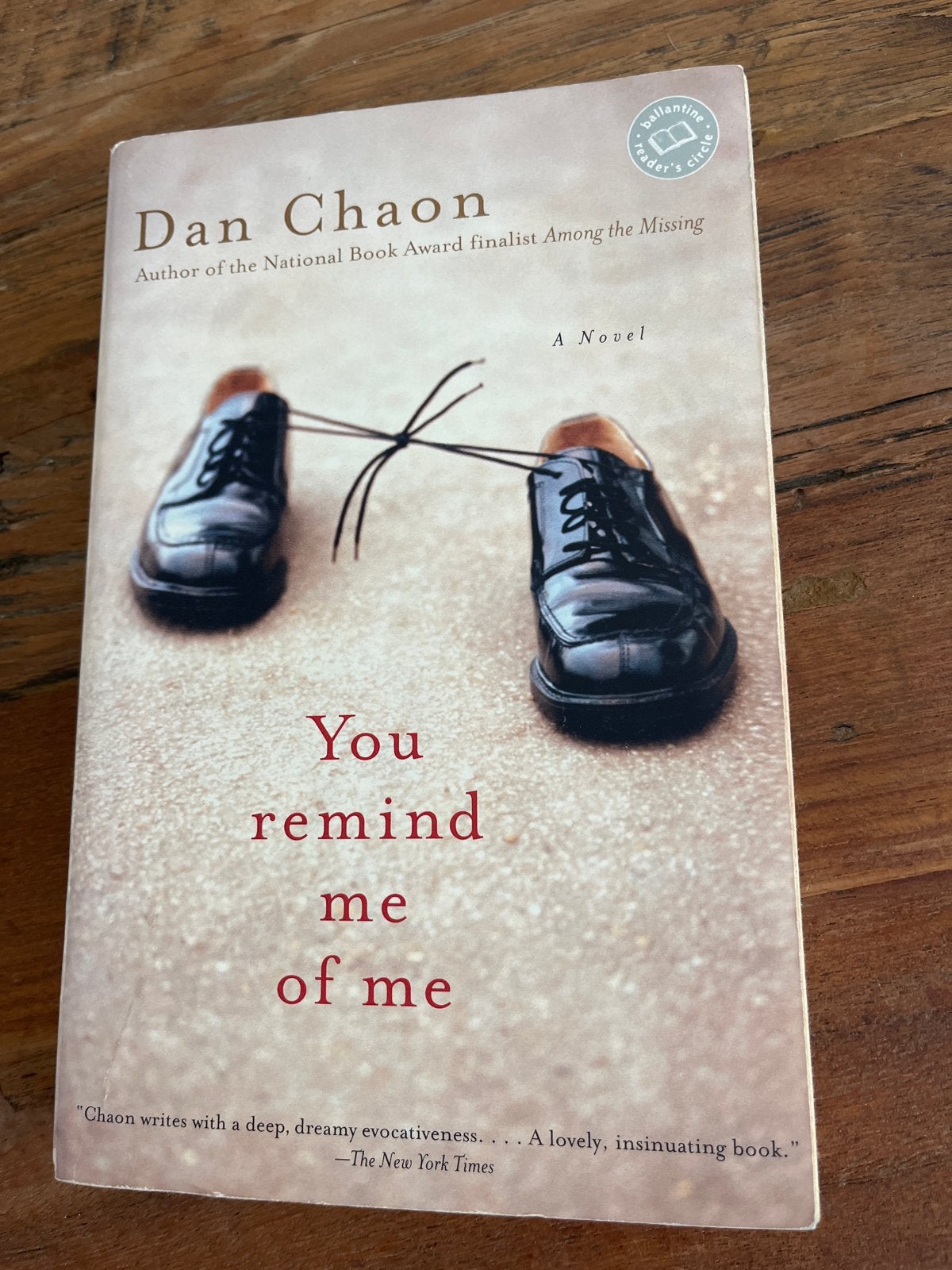 You Remind Me of Me - Dan Chaon (Engels), Ophalen of Verzenden, Gelezen, Amerika