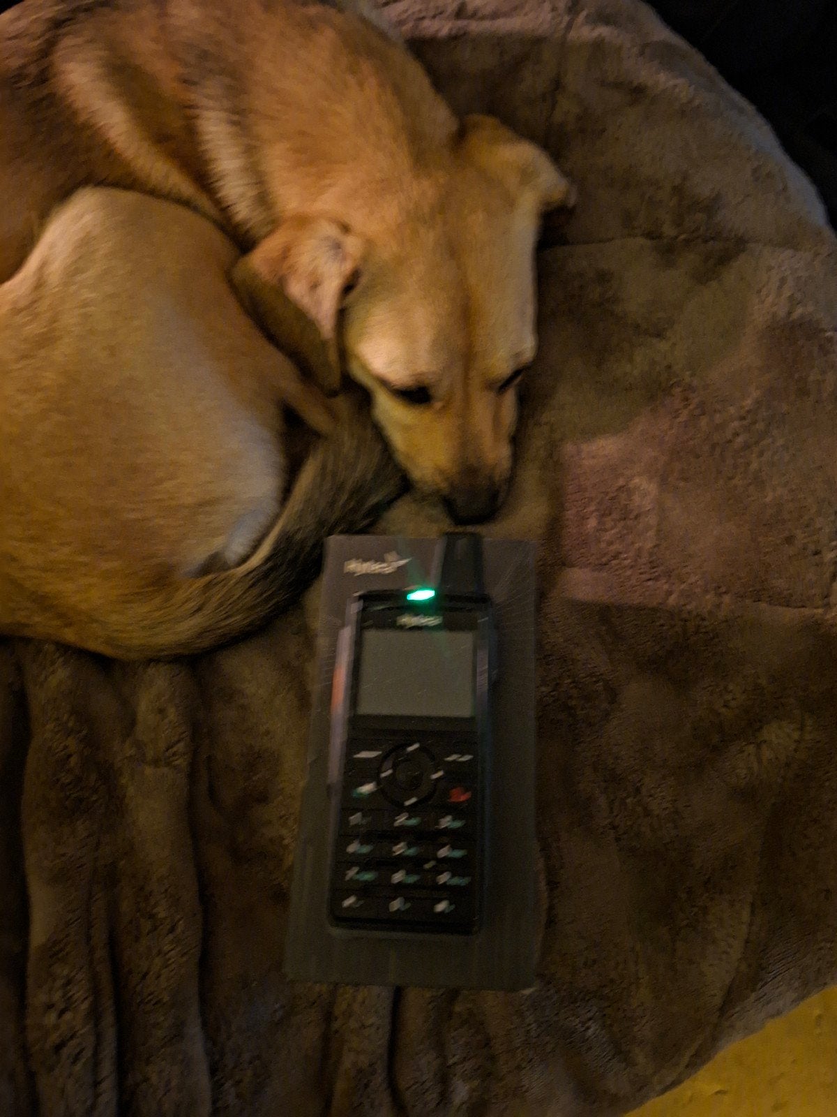 Hytera PNC380 pro zello, Telecommunicatie, Ophalen of Verzenden, Zo goed als nieuw