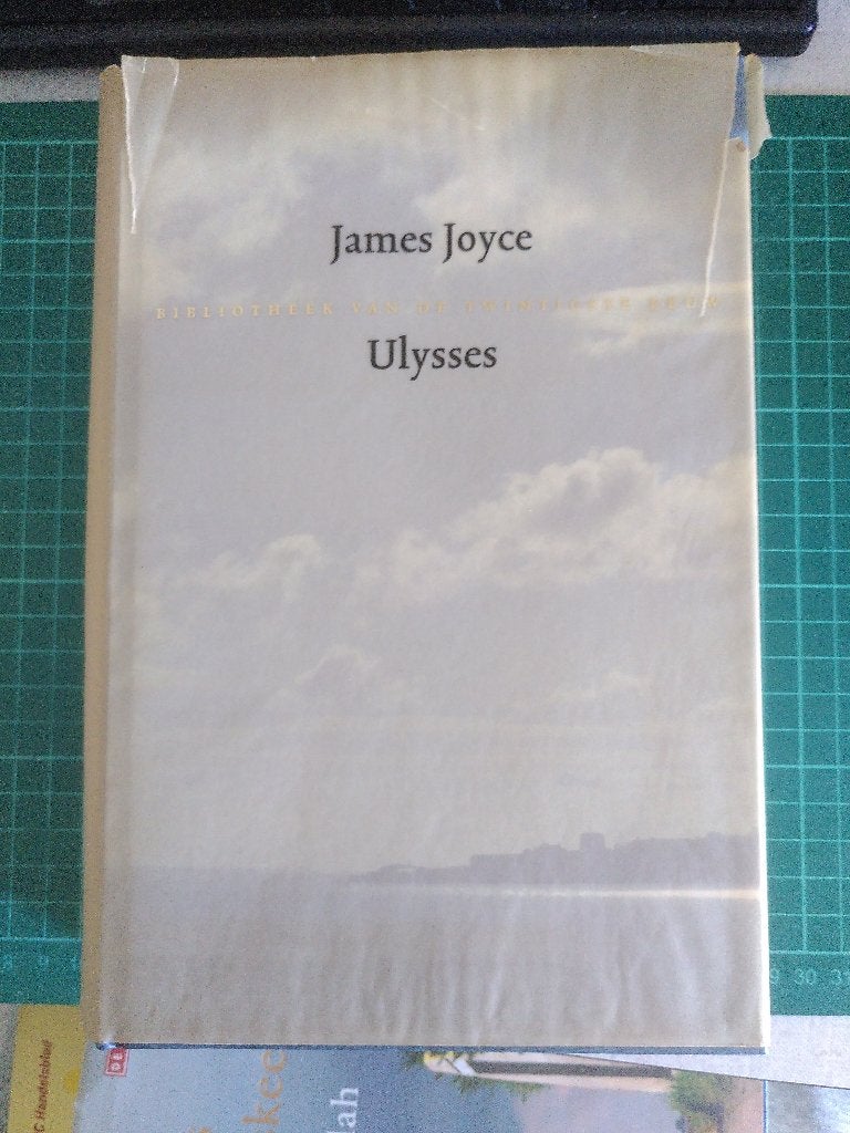 Ulysses - James Joyce, Boeken, Ophalen of Verzenden, Gelezen, James Joyce