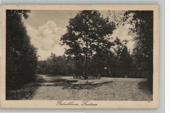 Lunteren Gedenkboom, Ophalen of Verzenden, Voor 1920, Gelopen, Gelderland