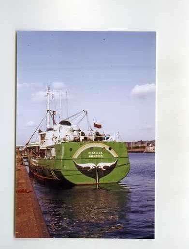 scheepvaart-foto-cedarlea-greenpeace-ex visserij, Verzamelen, Ophalen of Verzenden, Zo goed als nieuw, Motorboot, Boek of Tijdschrift