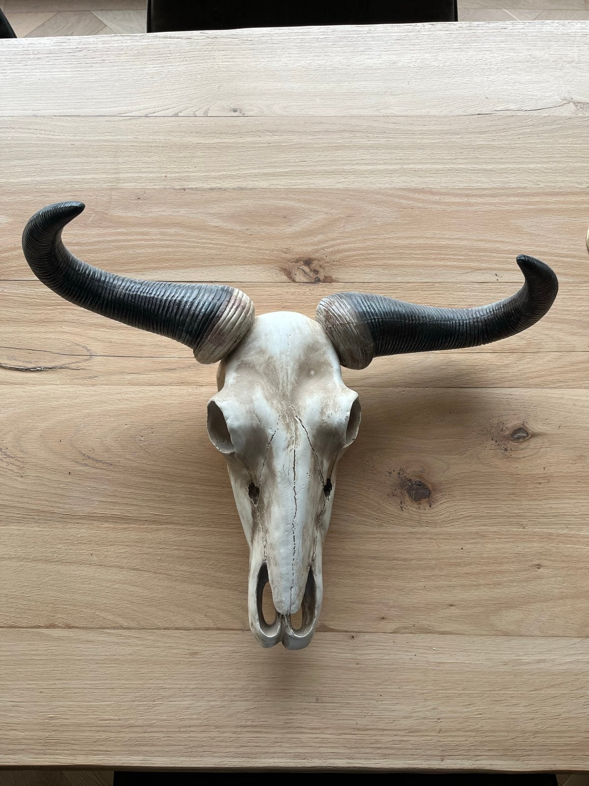 PTMD Collection Buffelschedel Wanddecoratie, Ophalen, Beige, Kunststof, Landelijk