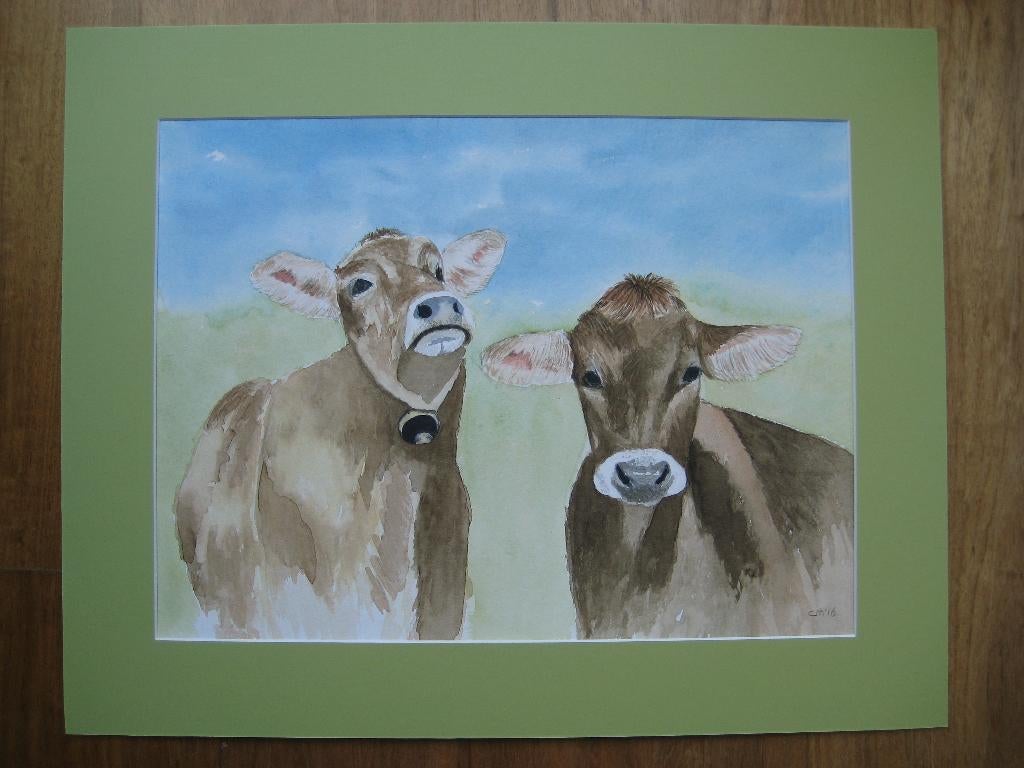 Aquarel 2 koeien (50 x 40 cm.), Ophalen, Oorspronkelijke maker, Nieuw, Schilderij
