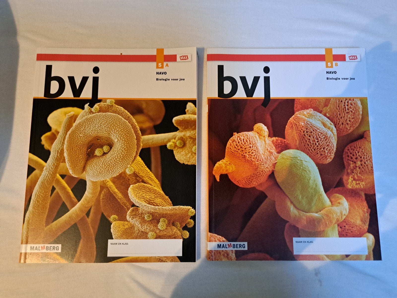 Biologie voor Jou (bvj) HAVO 5A en 5B - Malmberg, Boeken, Diverse auteurs (zie achterkant boek), Biologie, HAVO, Ophalen