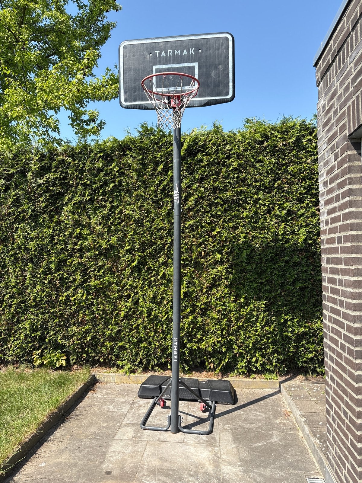 Tarmak basketbalpaal dikke korting voor Valkenswaard Falcons, Ophalen, Gebruikt, Ring, Bord of Paal