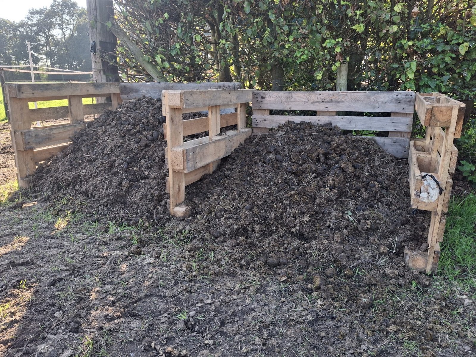 Biologische paardenmest (gratis) voor tuin en moestuin, Ophalen of Verzenden, Mest
