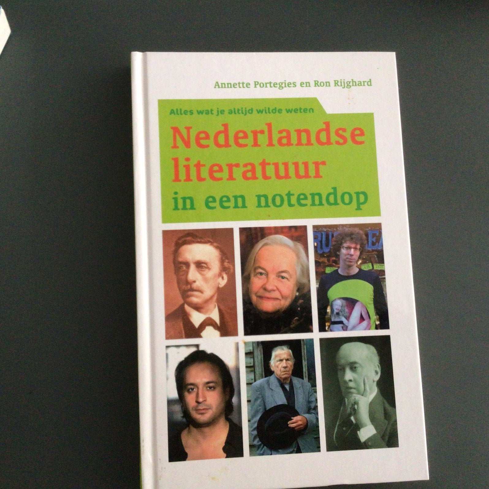 Nederlandse literatuur in een notendop - Annette Portegies e, Ophalen of Verzenden, Zo goed als nieuw, Nederland