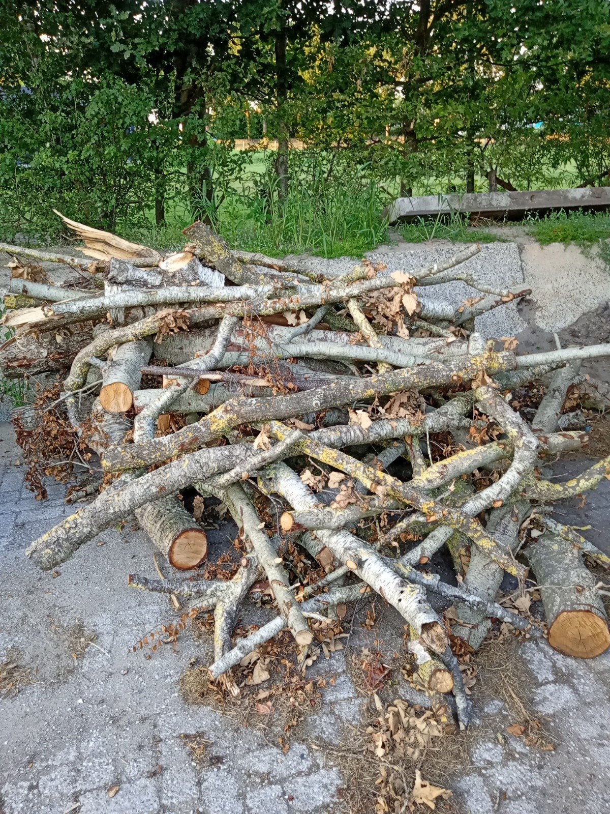 openhaardhout stamhout kachel Hout stookhout haard hout, Tuin en Terras, Haardhout, Minder dan 3 m³, Ophalen, Eikenhout, Stammen