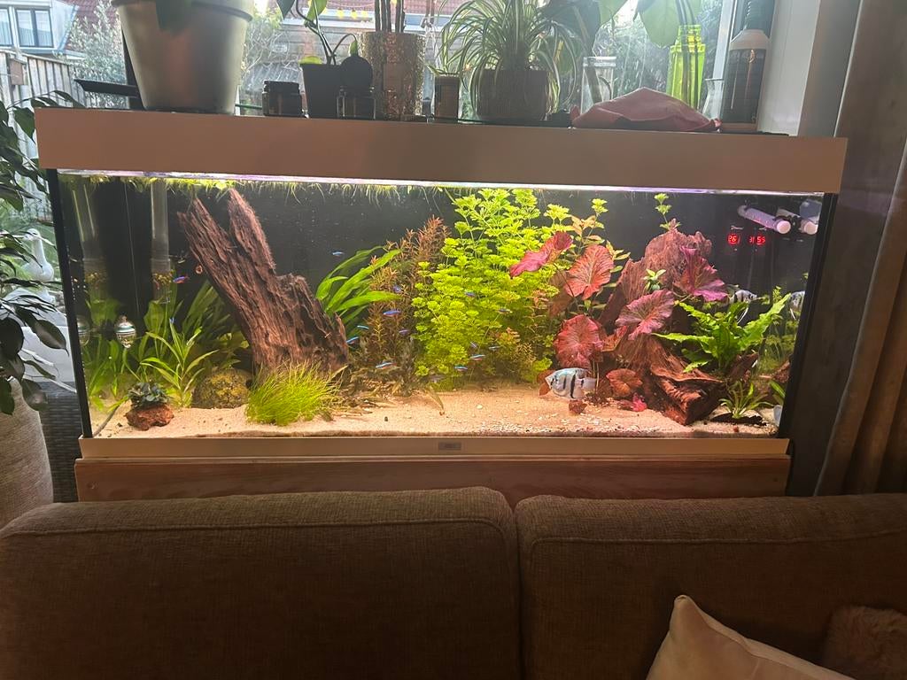 Juwel Rio 240 Aquarium Volledig compleet, Ophalen, Zo goed als nieuw