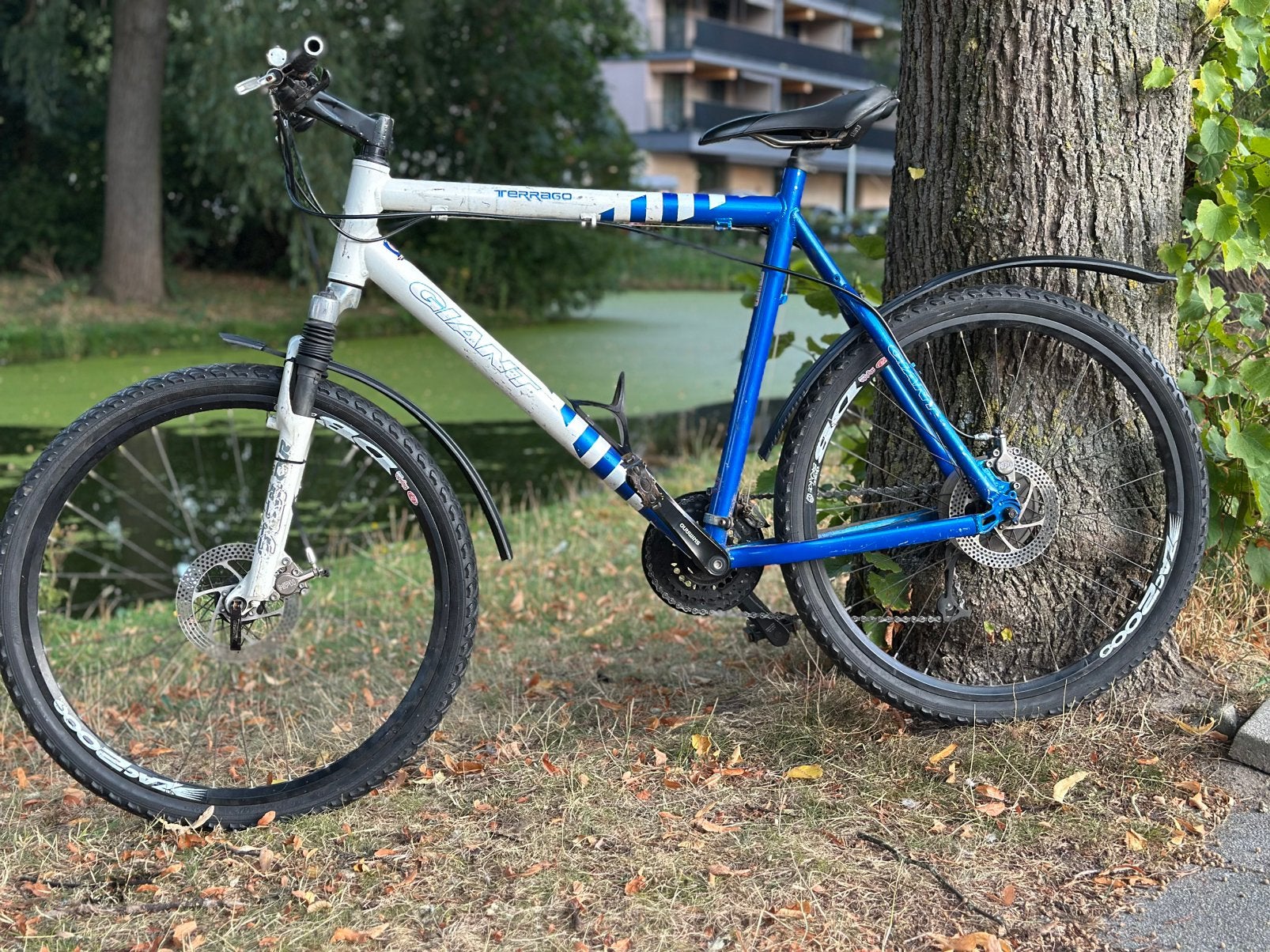 🚲 Giant Terrago mountainbike – blauw/wit, Versnellingen, 56 cm of meer, Zo goed als nieuw, Ophalen