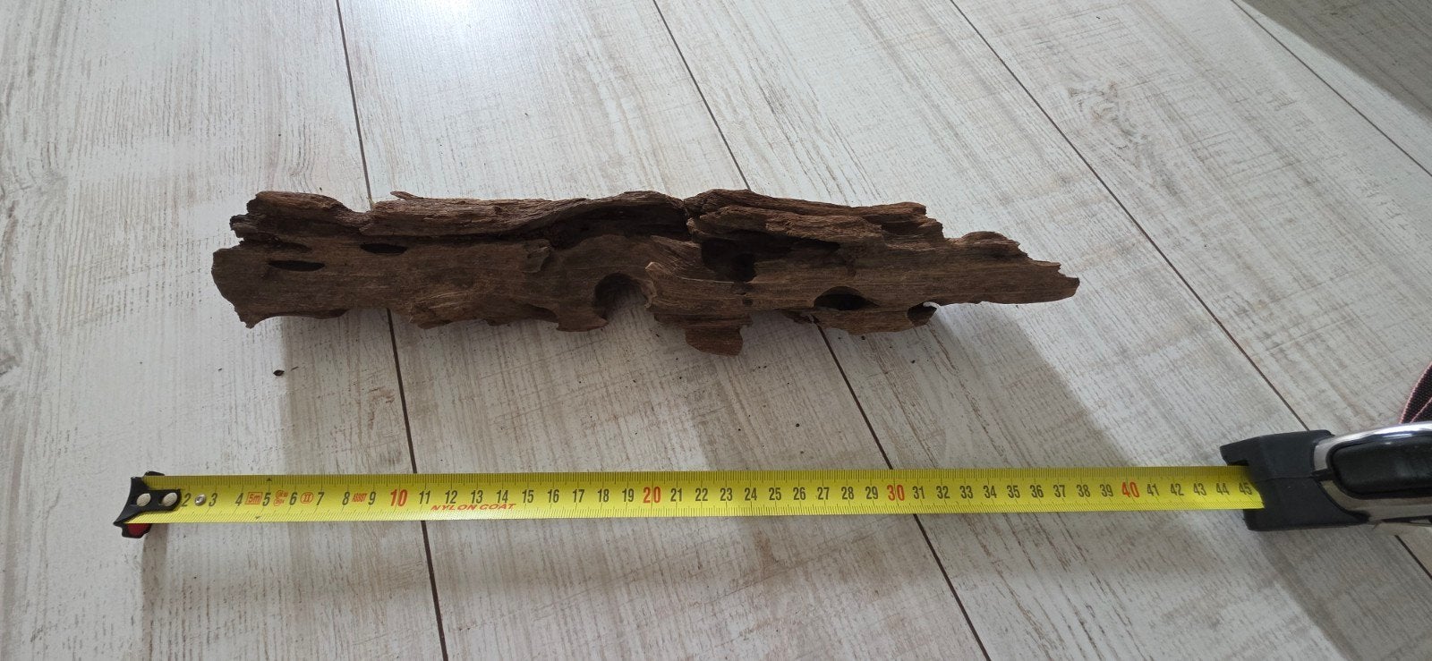 Aquarium Hout 4, Ophalen, Plant(en), Steen of Hout
